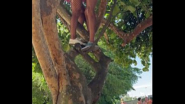 Carnaval: Foi Em Cima Da &aacute;rvore, No Meio Do Bloco Tomando Na Buceta E Engolindo Porra De Desconhecido thumbnail