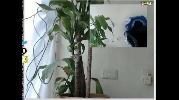 misstattoo su primer anal