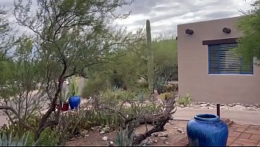 Suck My Balls Downhill Road Cycling Xxx Movie Filmed In Tucson, Az On Mt. Lemmon thumbnail