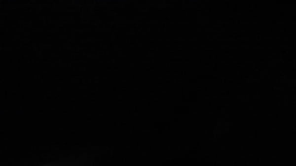 He took my Big Black 12in cock