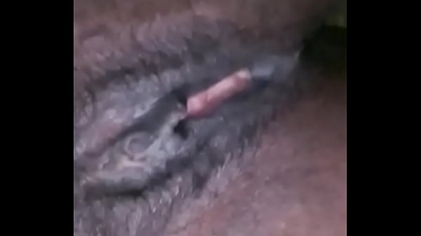 Daddycomefuckme  123Next SEXBOKEP adalah Website Bokep Indonesia Terbaru dan Terlengkap Gratis dimana Anda dapat menonton streaming video bokep dan download vidio bokep terbaru yang sedang viral dengan aplikasi bokep android, Aplikasi bokep free download simontok app terbaru 2026 for PC Mobile Online dan HP     Contact Us   DMCA   Disclamer   Privacy and Policy   Conditions of Use  &copy; 2026 SEXBOKEP All rights reserved