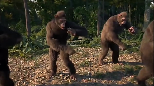 Play MP4 - Kingkong Fudendo com o godzilla