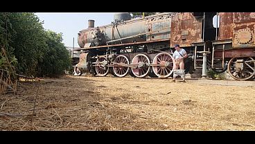 Nude near an antique train