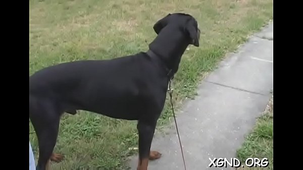 Nude beauty in nonprofessional scenes ready for severe hardcore sex