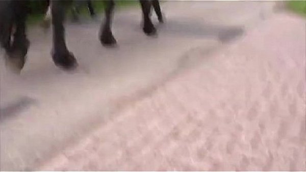 Nonton Holl&auml;ndische Teens thumbnail