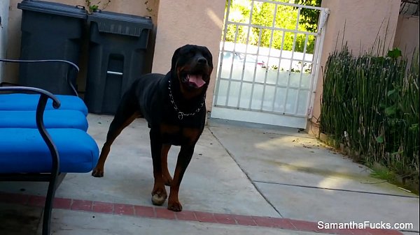 Play MP4 - Sexy Samantha Saint