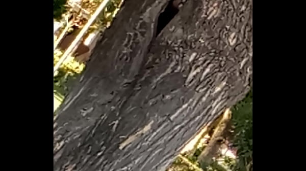 Nonton V70629-200212 Vagina The Destroyer thumbnail