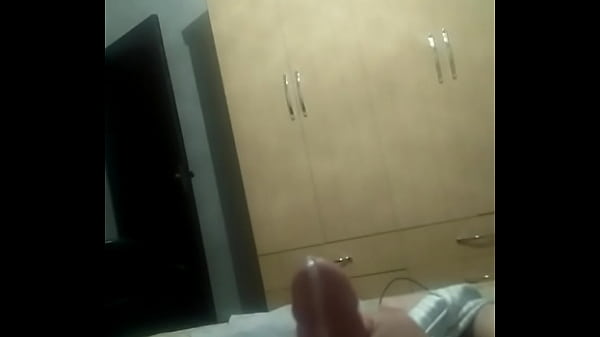 Young cock from Brazil