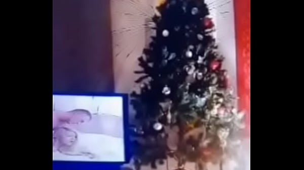 Il est beau mon sapin femme 