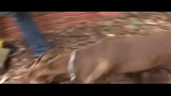 Gorgeous gay men movies Brutus young erect gay cock 