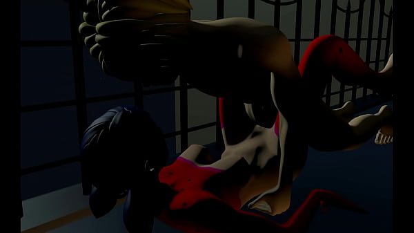 Леди bug и Супер кот на крыше 