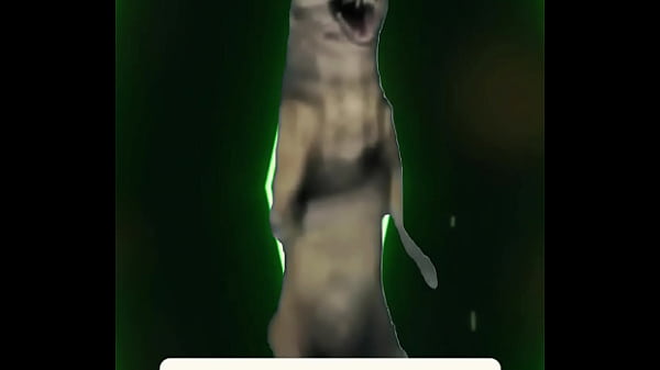 The cold never bothered her &mdash; and neither do opinions confidence looks good on her 