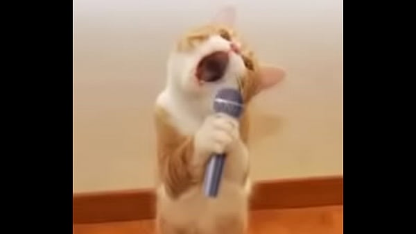 Nonton Metendo No Aluno Da Smart Parte 1 thumbnail