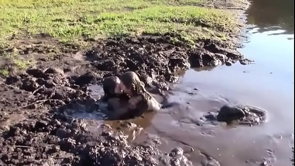 Mud lovers leila hazlett trailer