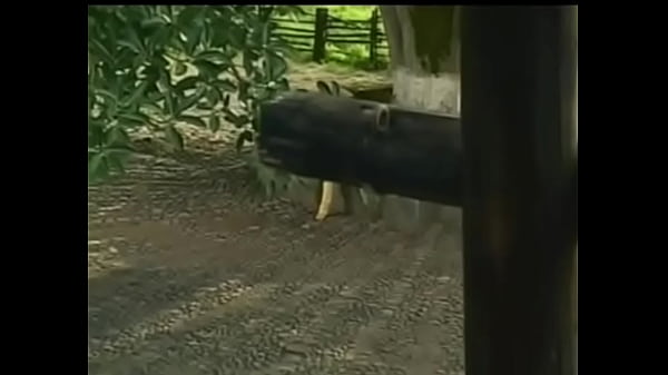 M&uacute;sica thumbnail