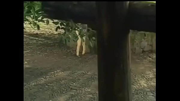 Un millón de primaveras