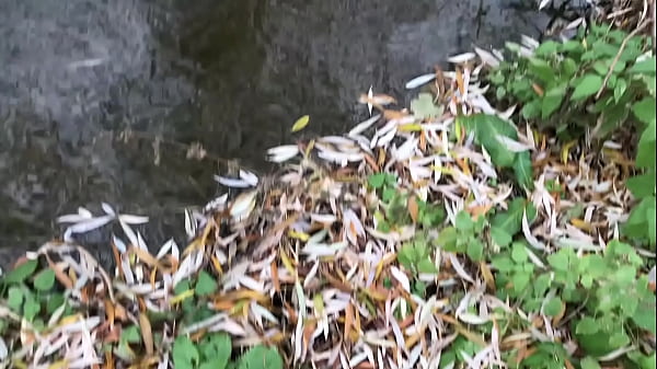 Play MP4 - An amazing place outdoors for cumming &sol; HOT BOY