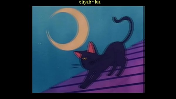 eliyab fodendo ossentimentos de_geral