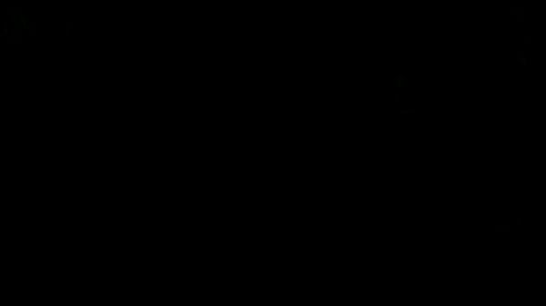 Nonton Dora Cosplay: Thick Latina Student Slammed In Jungle thumbnail