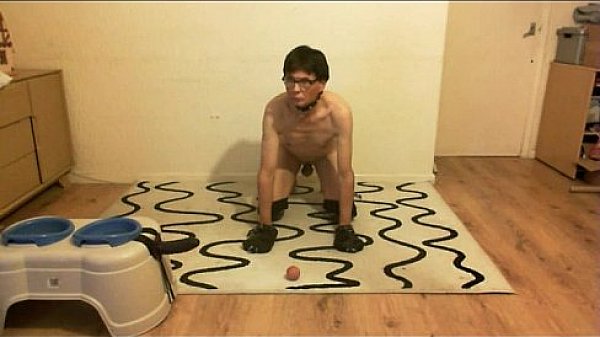 Nonton Puppy Tigger's Training Session With Sirguym Part 1 thumbnail