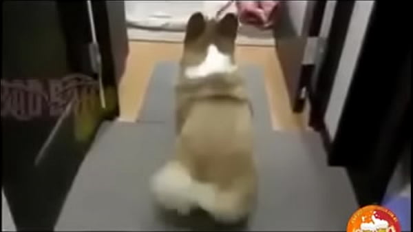 10981045 10154816456136515 536213326 n