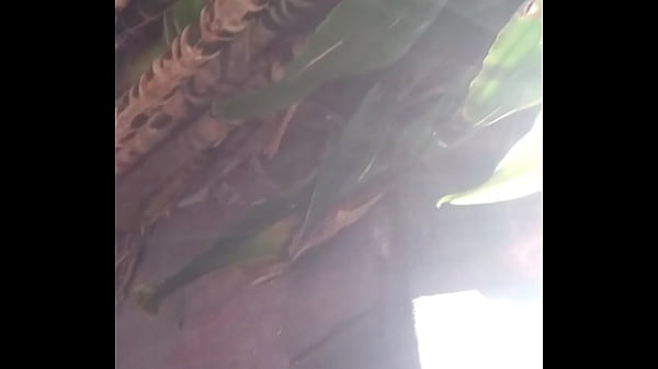 V&iacute_deo de verificaci&oacute_n