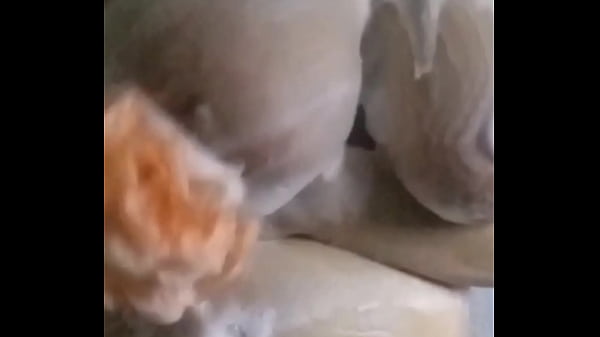 Play MP4 - me ba&ntilde;o para que se me baje lo caliente&comma; le ofrezco el culo a mi padrastro&comma; pero esta con mi mam&aacute; y termino masturb&aacute;ndome