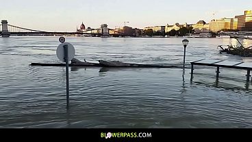 Summer steamy adventures with a flooded beauty 