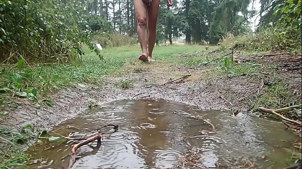 a poil jour de pluie 