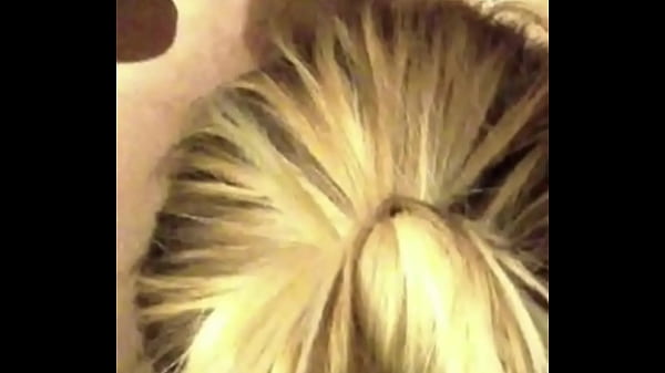 Stallion Milker S5 thumbnail