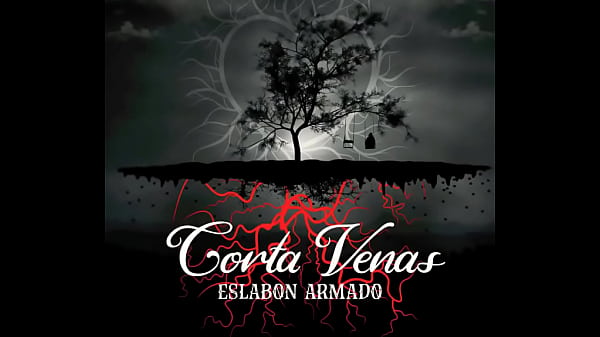 Jugaste y sufri audio oficial 