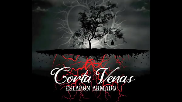 Jugaste y sufri audio oficial 