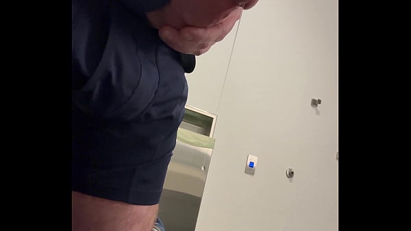 Ginger office playtime 