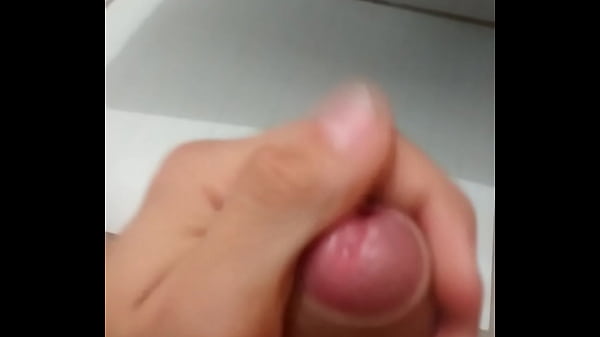 Meu pau