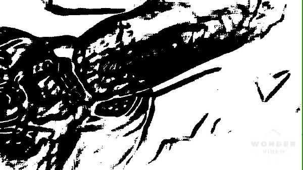 BEST BLOW JOB AKA HAPPY TIME