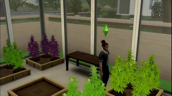 Sims 4 sexo con mi vecina 