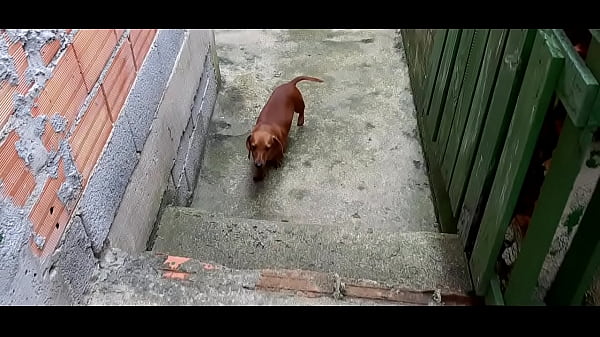 Programa 350&10 coisas 