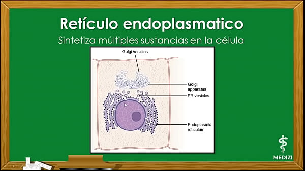 Fisiología_Celular_La Célula partes y funciones
