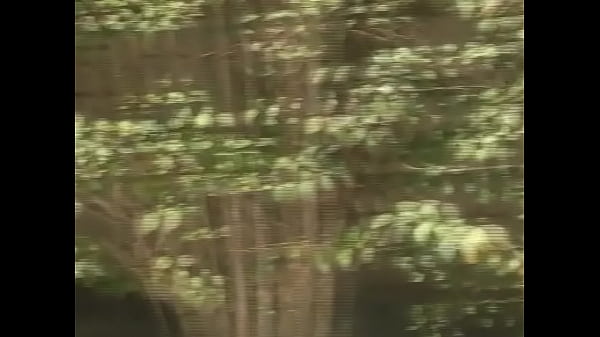 Play MP4 - LD 0177 01