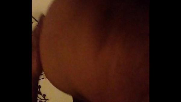 Gorilla on the kitty 