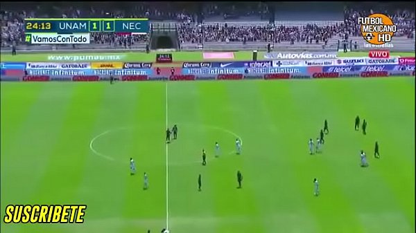 Gatito le destruye el culo al Rayito 