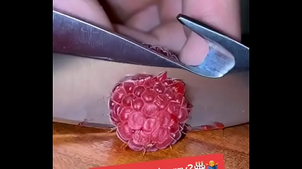 Video x&aacute_c minh