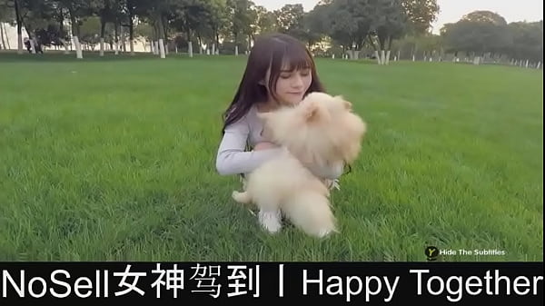 Happy together now is not sell in steam 05