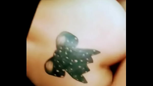 Coloquei ela de quatro e soquei a rola nessa vagabunda