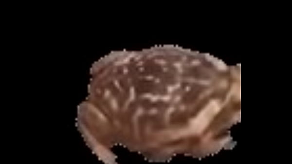 Sapo dando vueltas