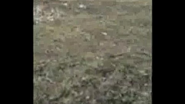 Cheap whore blowjob in the forest 