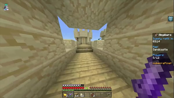 I shouldn't have won this cubecraft skywars #2 