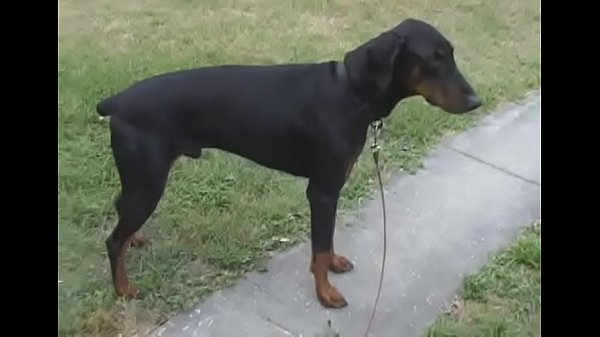 Nonton 001 thumbnail