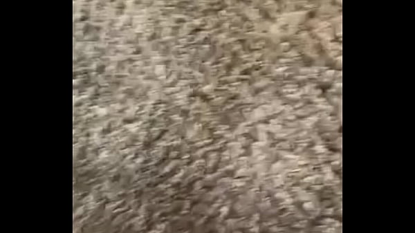 Verificatievideo