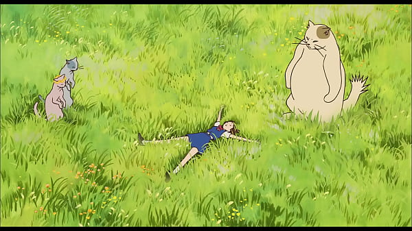 Elregresodel pinche gatopara mayita